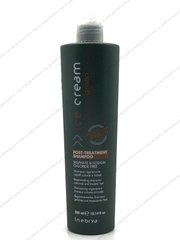 Регенерирующий шампунь для окрашенных волос Inebrya Green Post-Treatment Shampoo