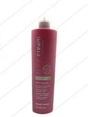 Кондиционер для окрашенных волос Inebrya Pro-Color Color Perfect Conditioner