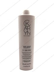 Шампунь для глубокого восстановления и блеска поврежденных волос Inebrya Karyn Deep Shine Shampoo 300 мл