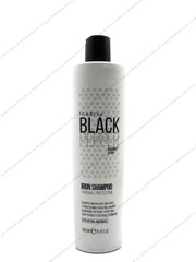 Укрепляющий шампунь для волос Inebrya Balck Pepper Iron Shampoo